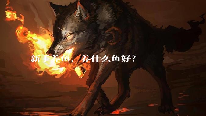 新手养鱼，养什么鱼好？