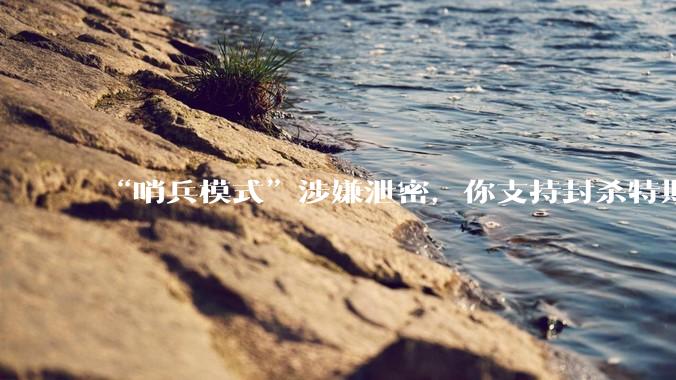 “哨兵模式”涉嫌泄密，你支持封杀特斯拉吗？