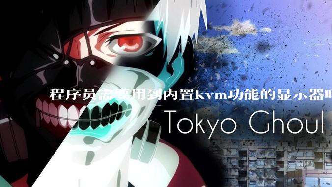 程序员需要用到内置kvm功能的显示器吗？或者是外置的kvm切换器吗？